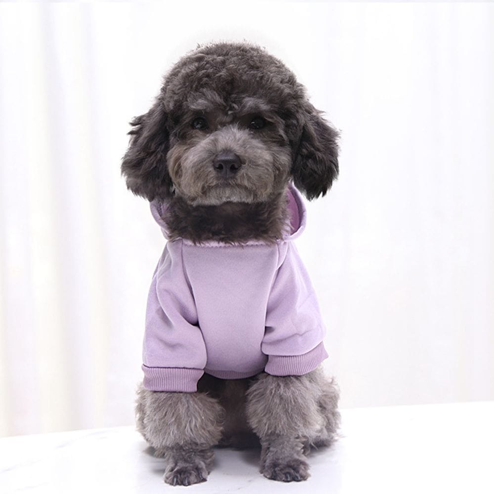 Trendy Dog Comfort Hoodies – view 9
