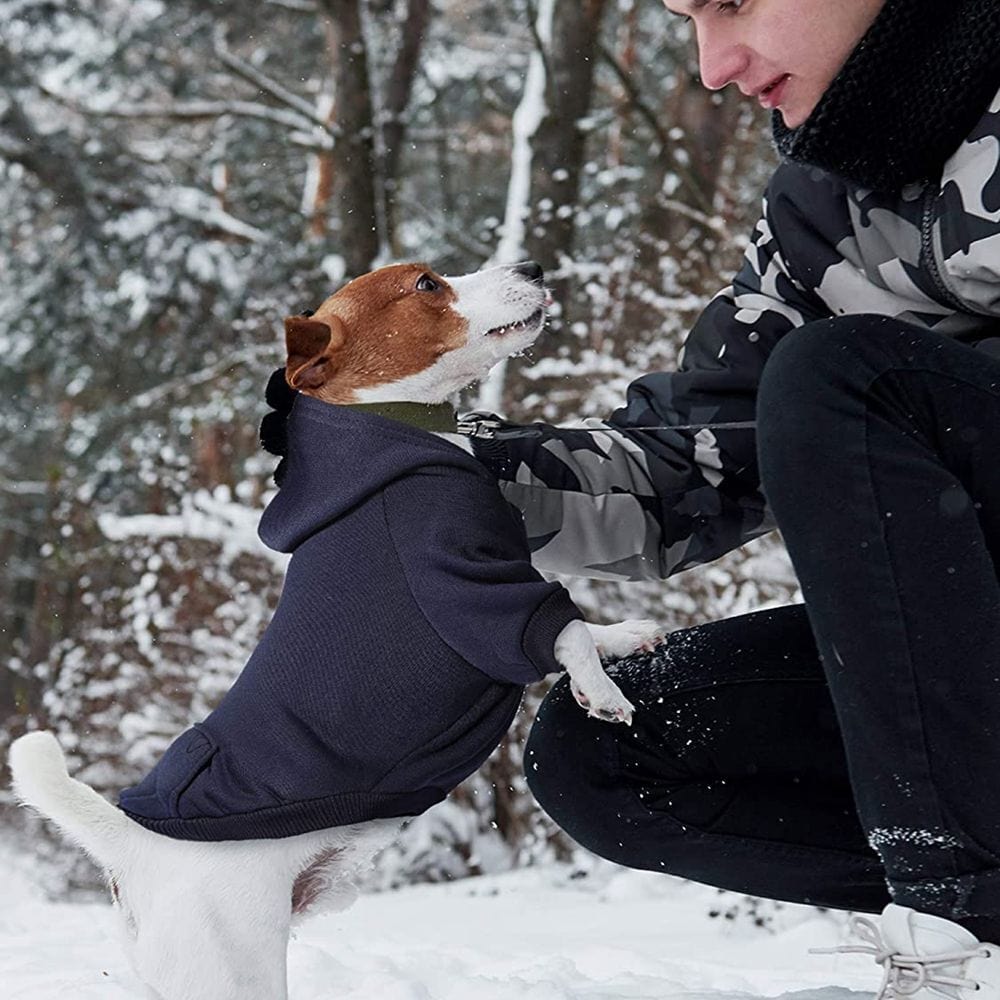 Trendy Dog Comfort Hoodies – view 8