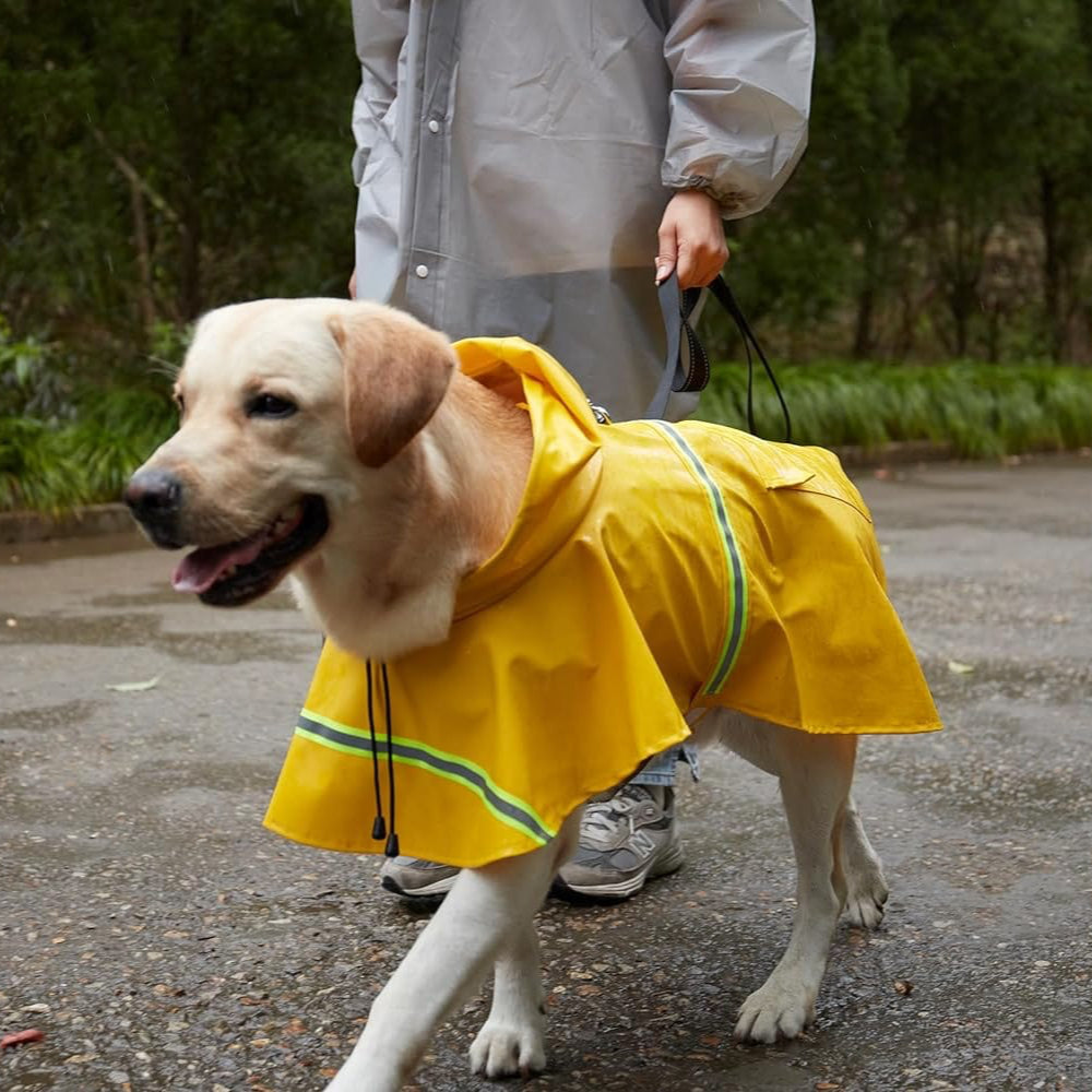 Waterproof Dog Raincoat for Wet Weather Walks – view 9