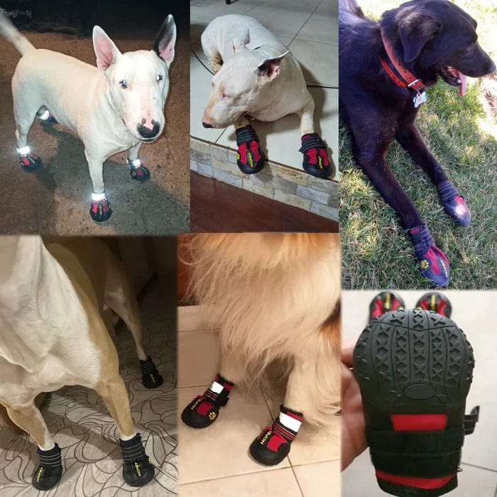 Waterproof Outdoor Dog Boots – view 9