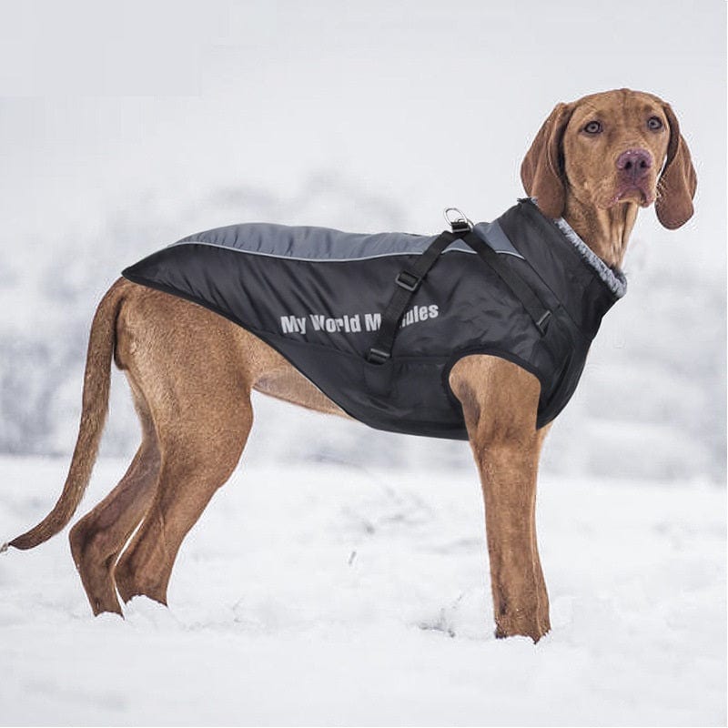 Winter Jacket with Harness & Faux Fur – view 10