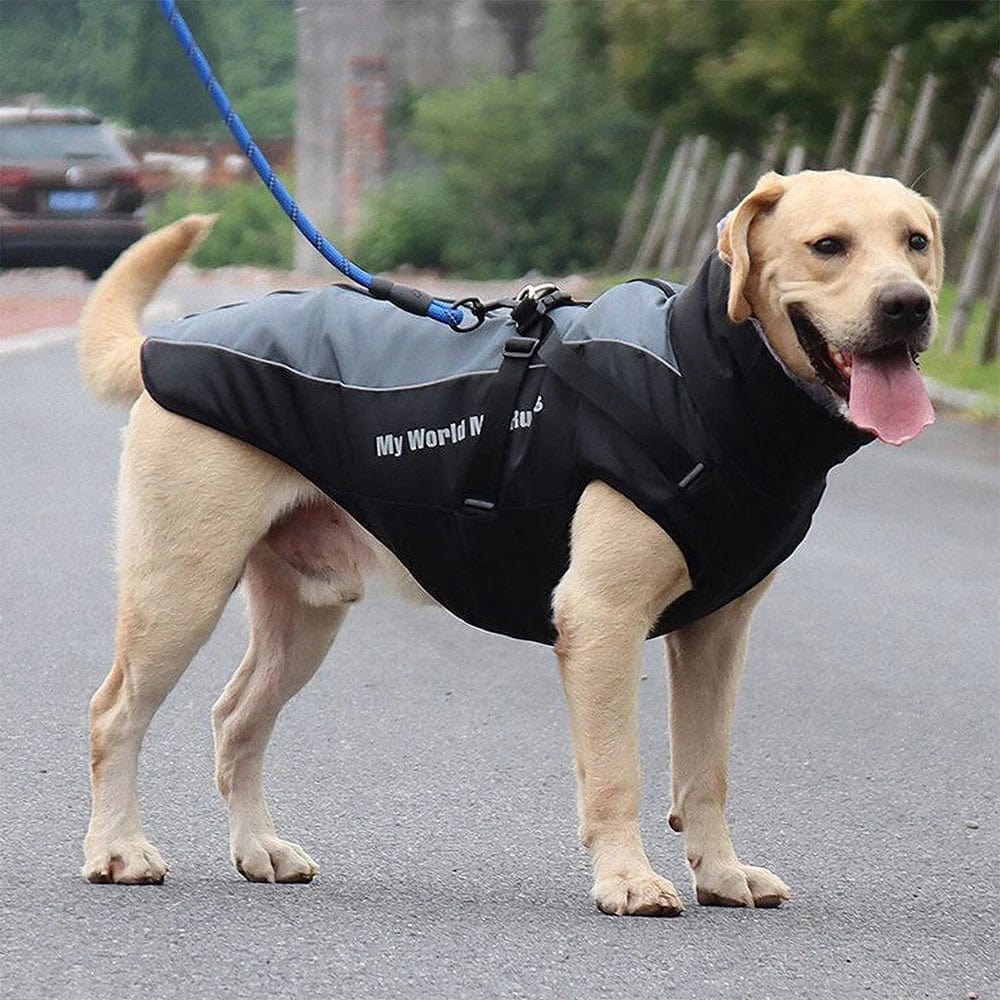 Winter Jacket with Harness & Faux Fur – view 8