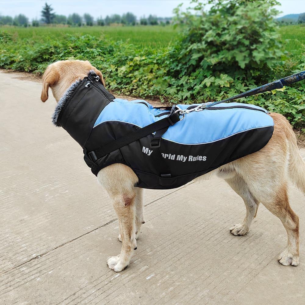 Winter Jacket with Harness & Faux Fur – view 7