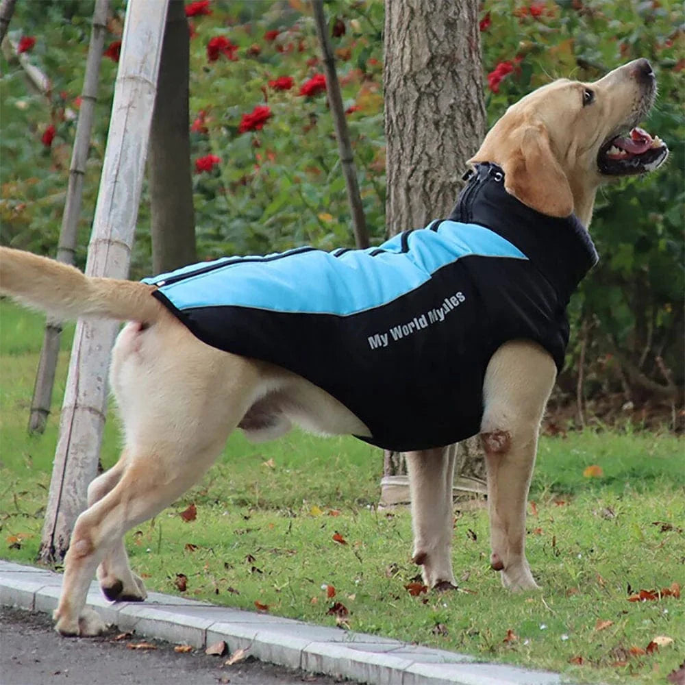Winter Jacket with Harness & Faux Fur – view 9