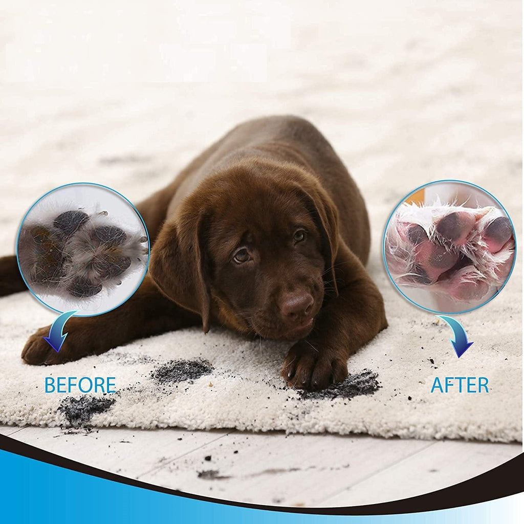 Buddies Dog Paw Cleaner – view 8