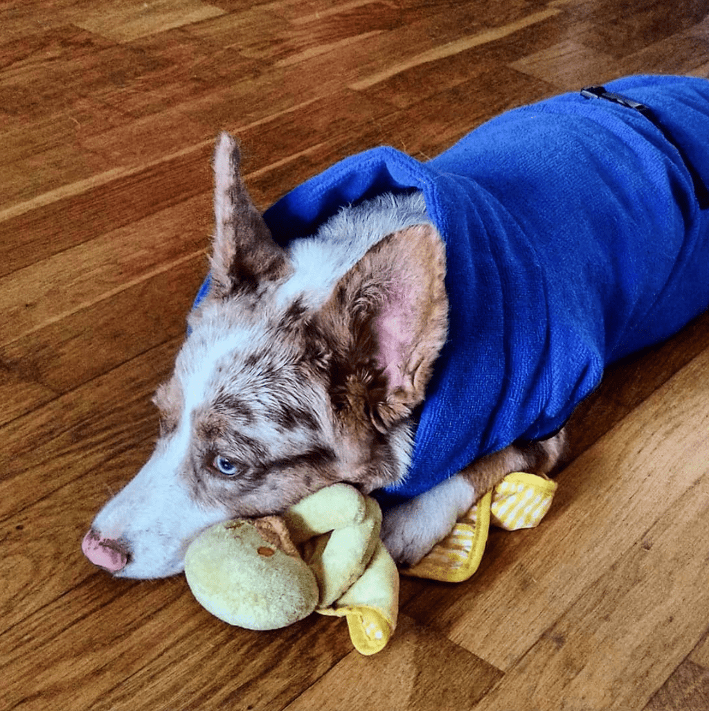 Quick Dry Doggo Robe – view 10