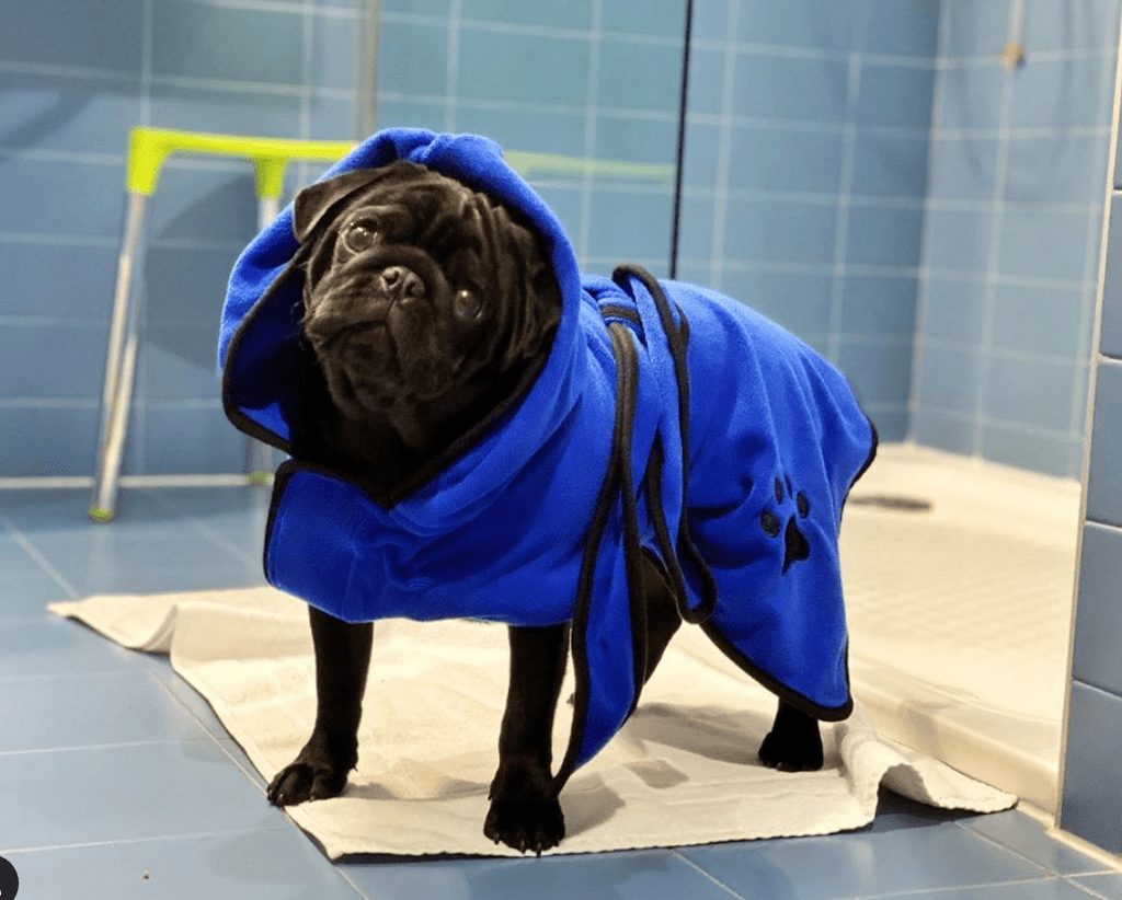 Quick Dry Doggo Robe – view 11