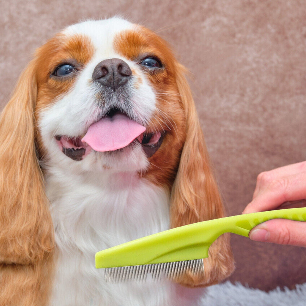Stainless Pet Flea Comb – view 9