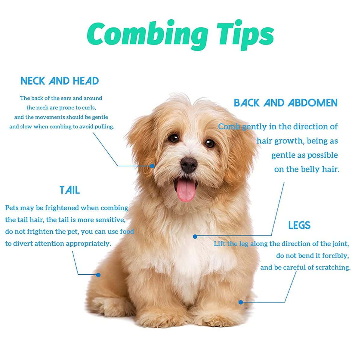 Stainless Pet Flea Comb – view 8