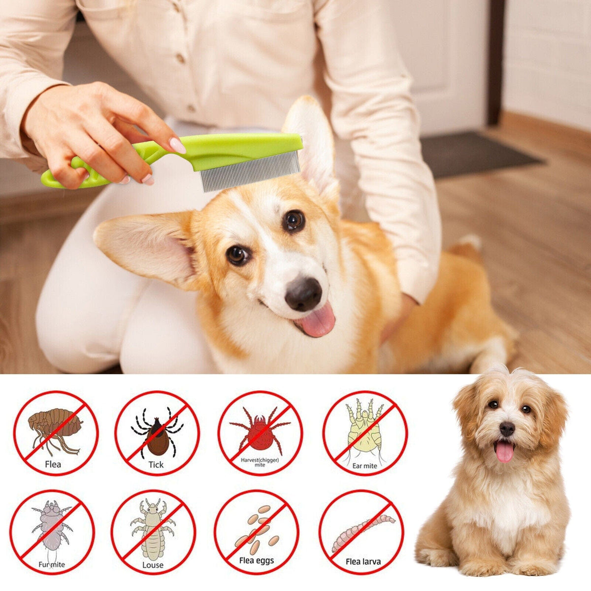 Stainless Pet Flea Comb – view 11