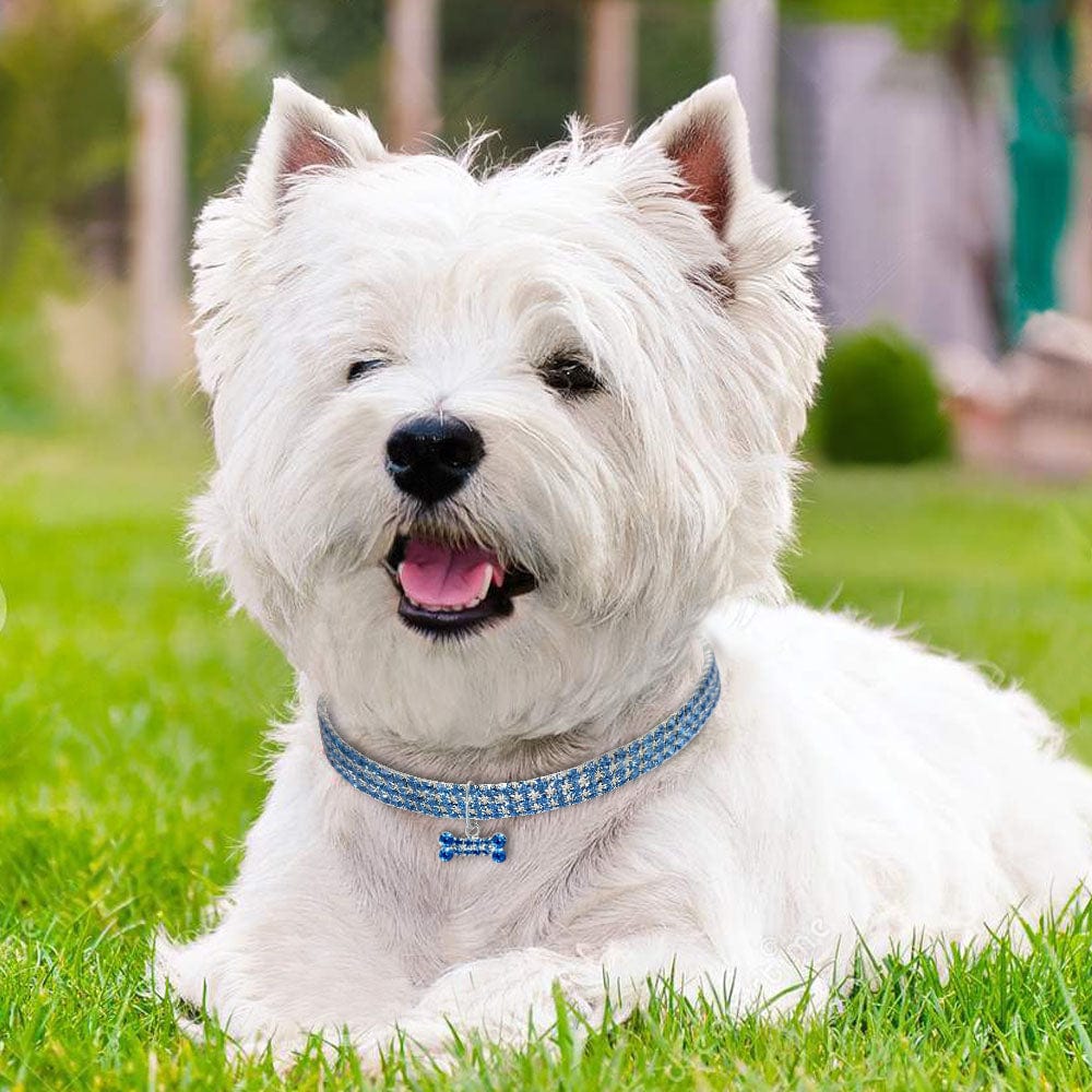 Bling Pet Collar – view 7