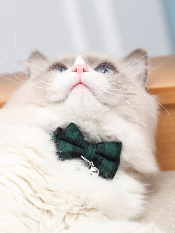 Bow Tie Cat Collar with Bell – view 9