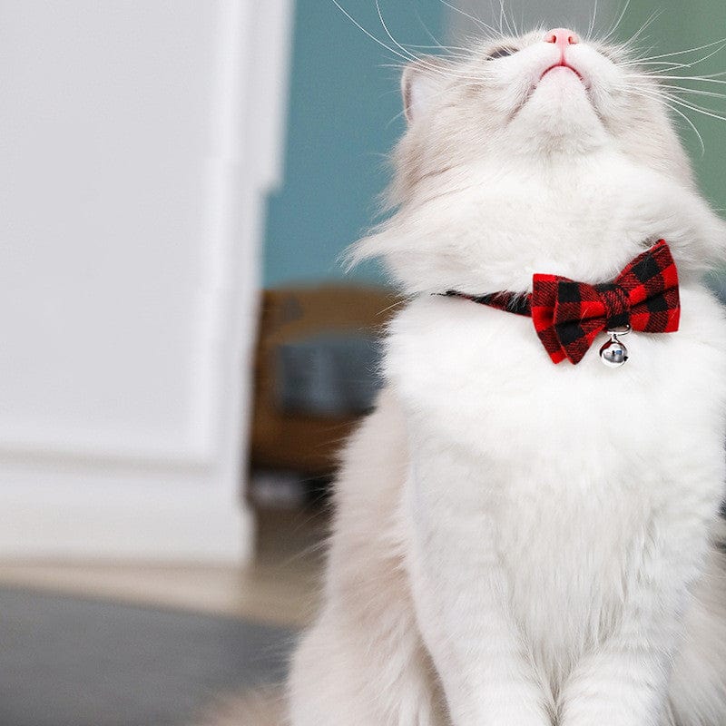 Bow Tie Cat Collar with Bell – view 10