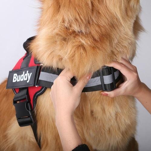 Personalised No Pull Dog Harness – view 10