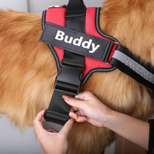 Personalised No Pull Dog Harness – view 11