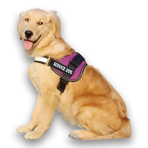 Personalised No Pull Dog Harness – view 8