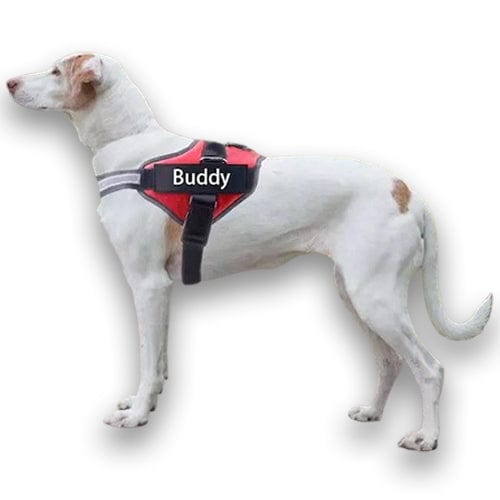 Personalised No Pull Dog Harness – view 13