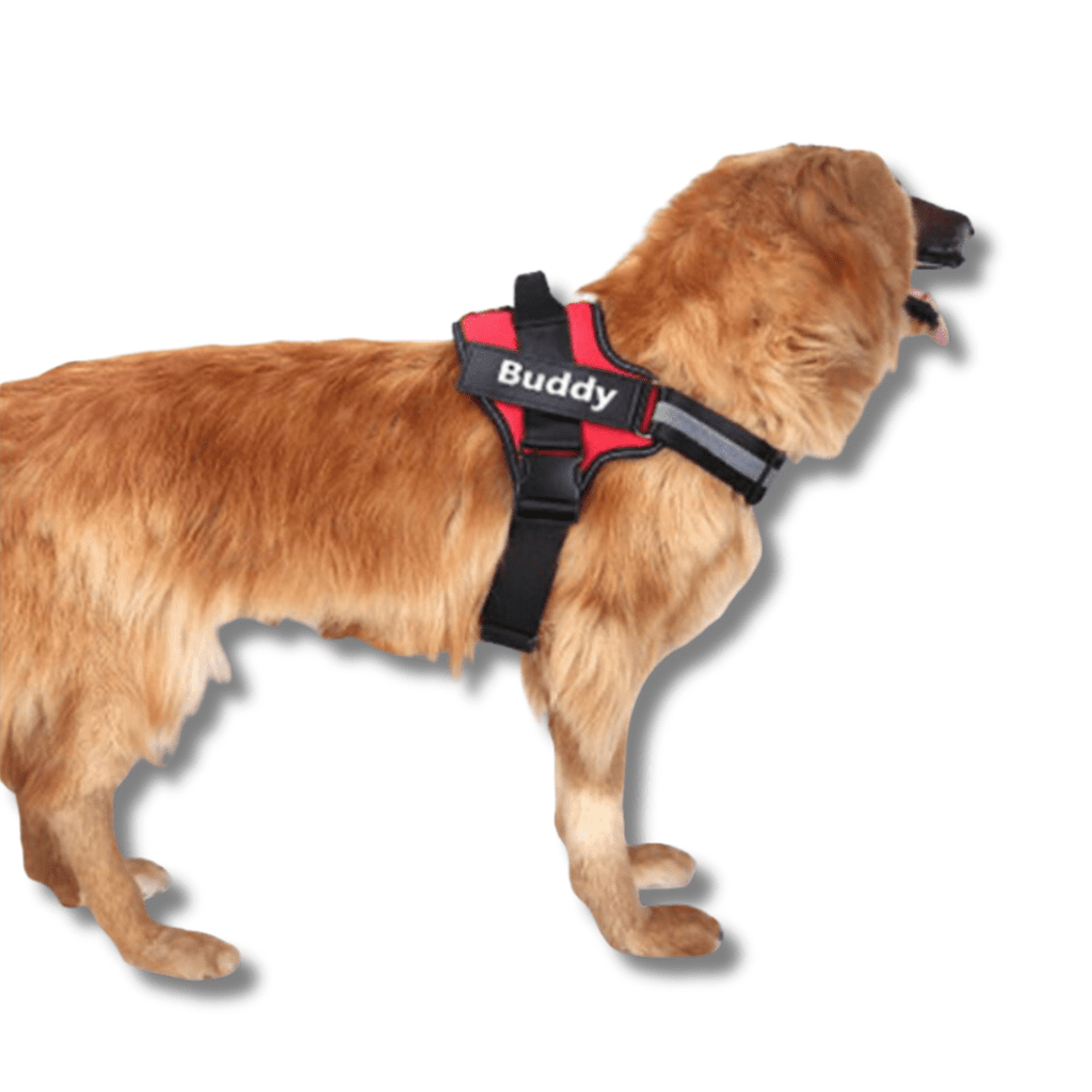 Personalised No Pull Dog Harness – view 9