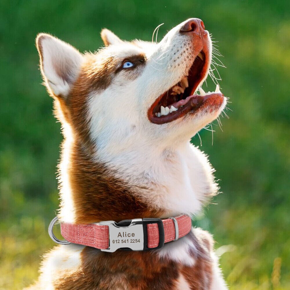 Personalized Engraved Pet Collar for Dogs and Cats – view 8