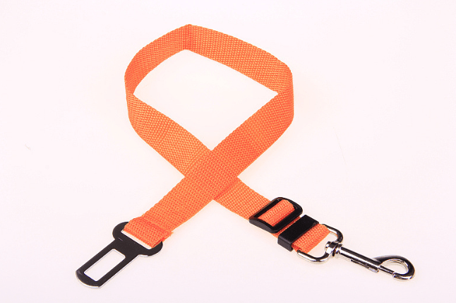 Seat Belt Safety Leash – view 22