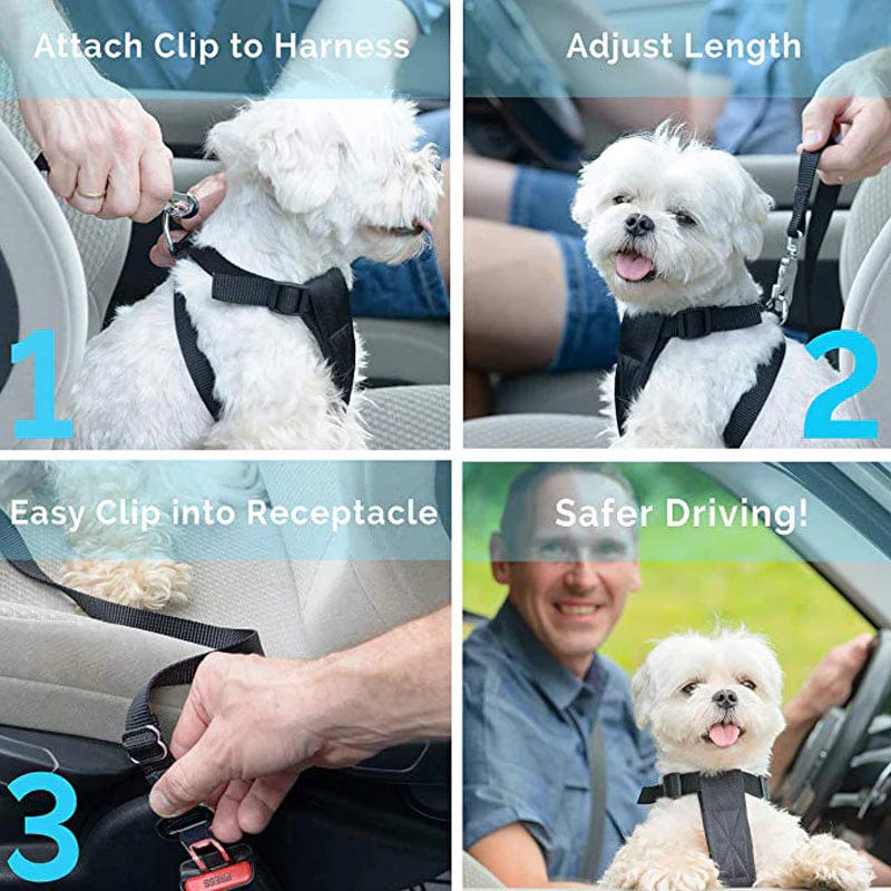 Seat Belt Safety Leash – view 18