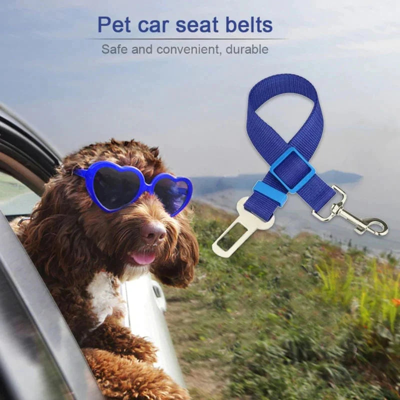 Seat Belt Safety Leash – view 14