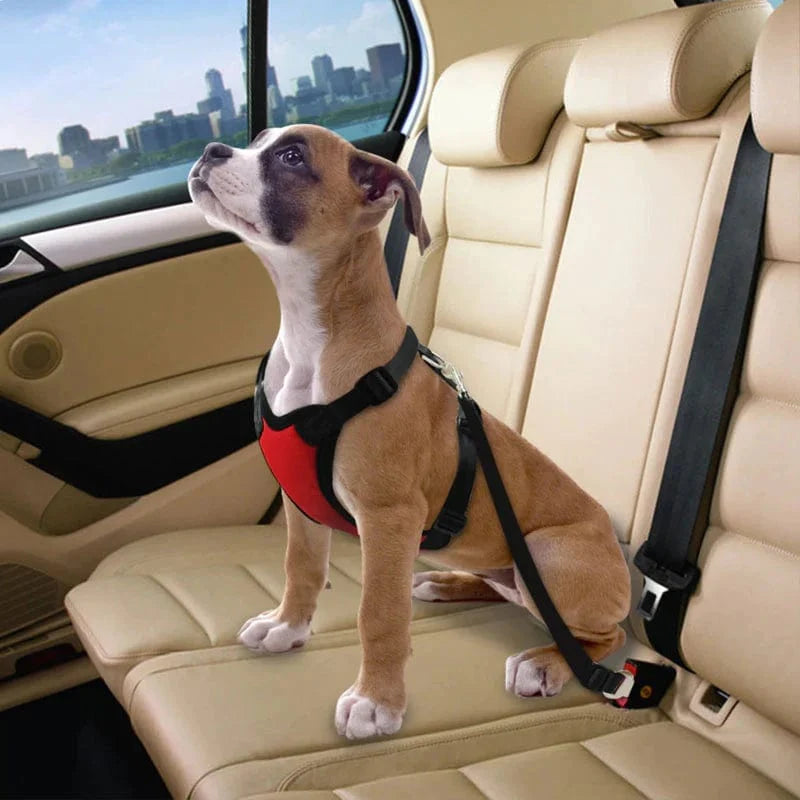 Seat Belt Safety Leash – view 16