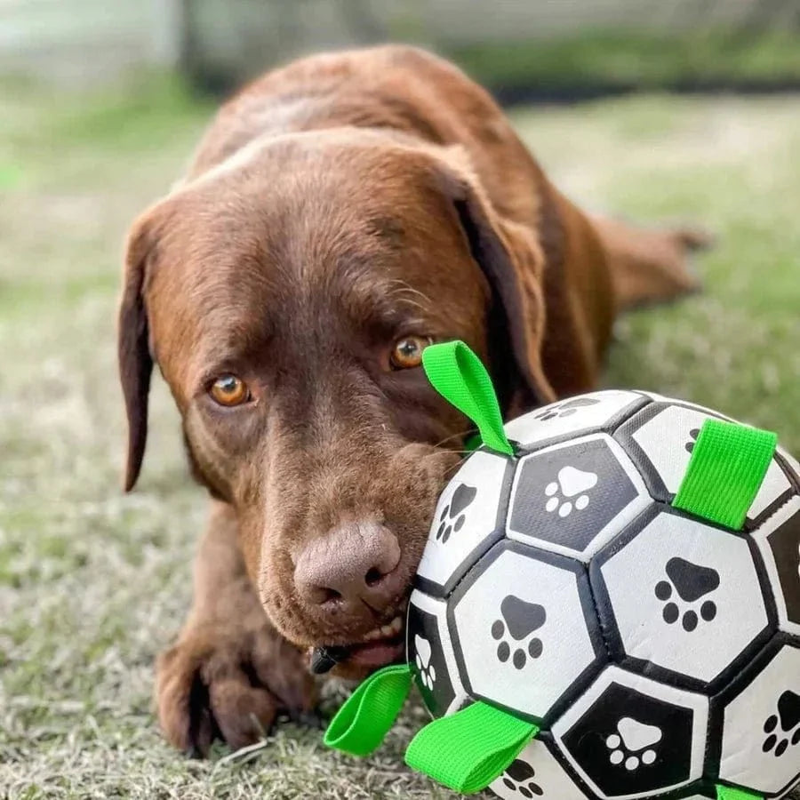 Grab Tab Football – view 8