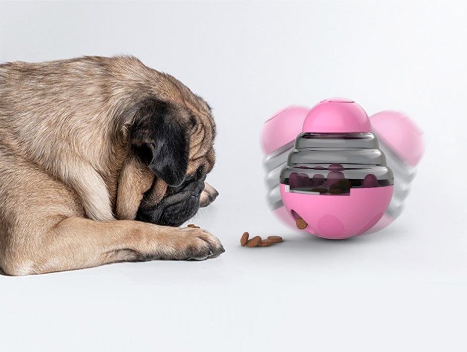 IQ Treat Toy – view 8