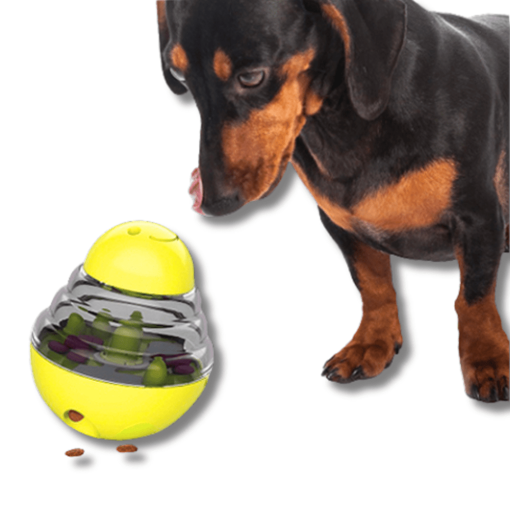 IQ Treat Toy – view 7
