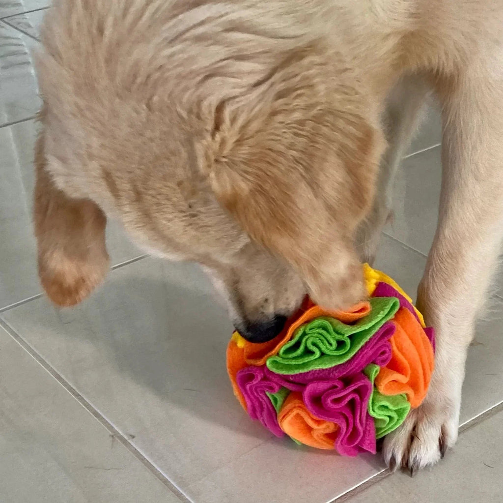 Interactive Snuffle Puzzle Ball for Dog Enrichment – view 18