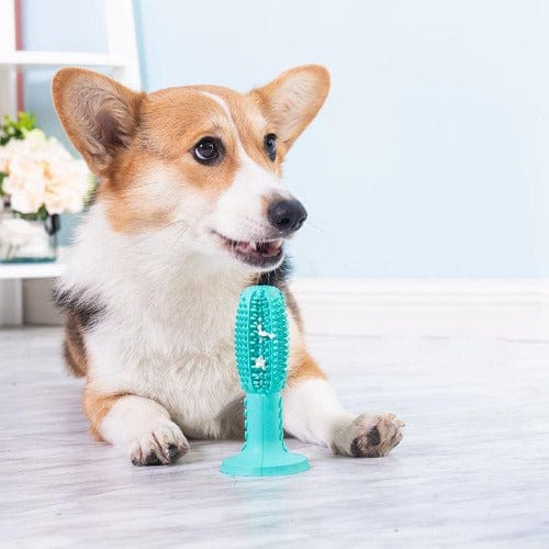 Ultimate Molar Chew Toy – view 7