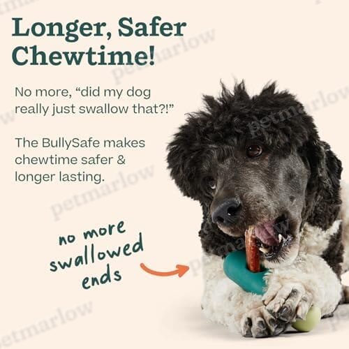 Bully Stick Holder - Durable Dog Chew Holder for Safe – view 2