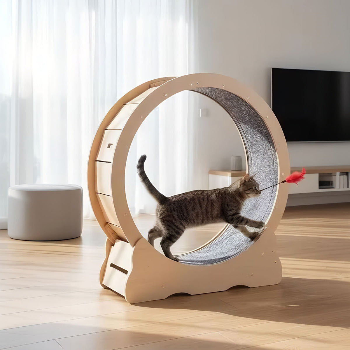 Large Cat Treadmill with Detachable Carpet – view 10