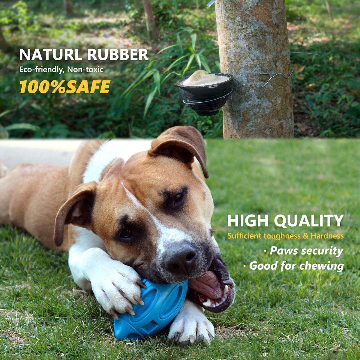 Rubber Sounding Dog Ball for Interactive Play – view 9