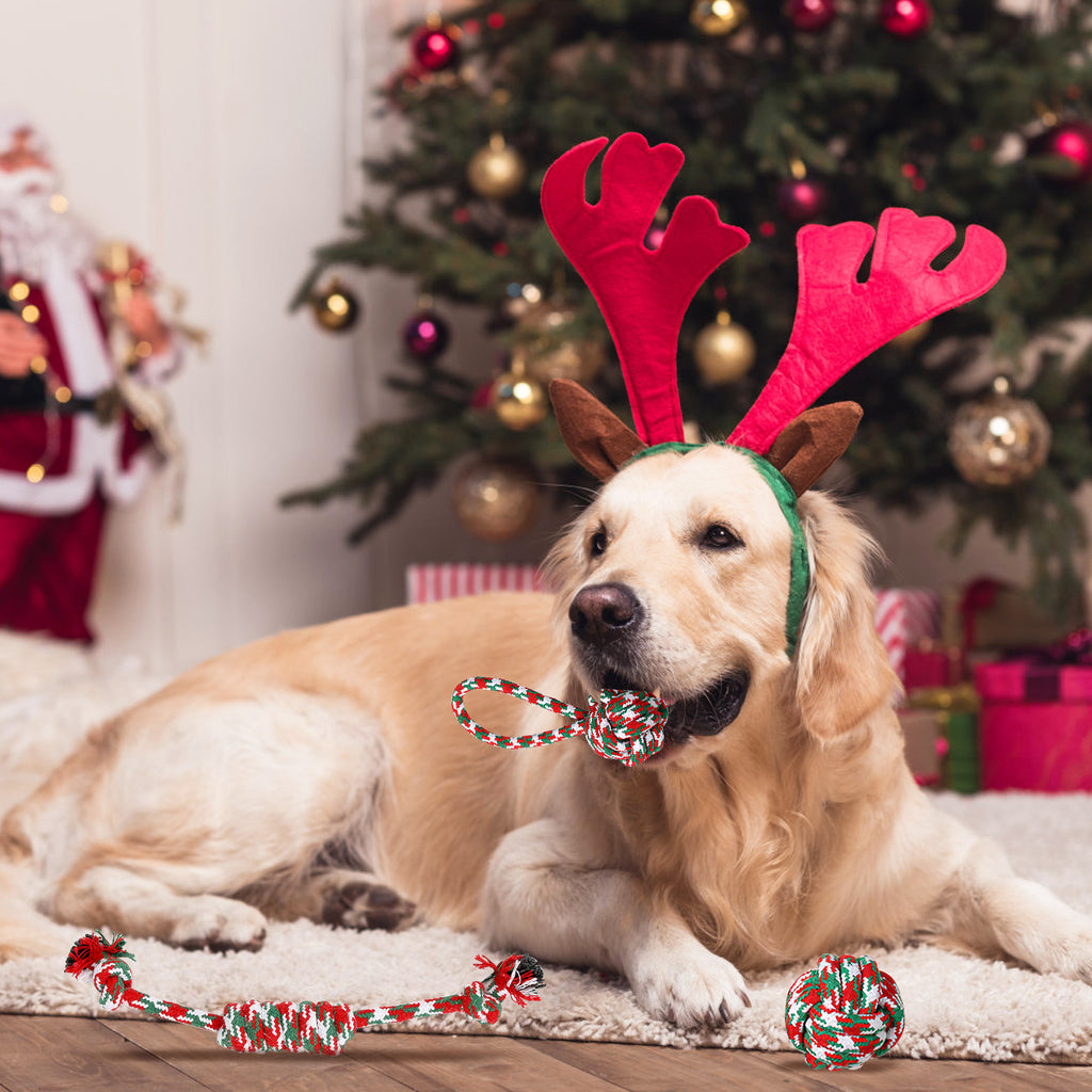 Christmas Rope Chew Toys for Dogs, 5-Pack