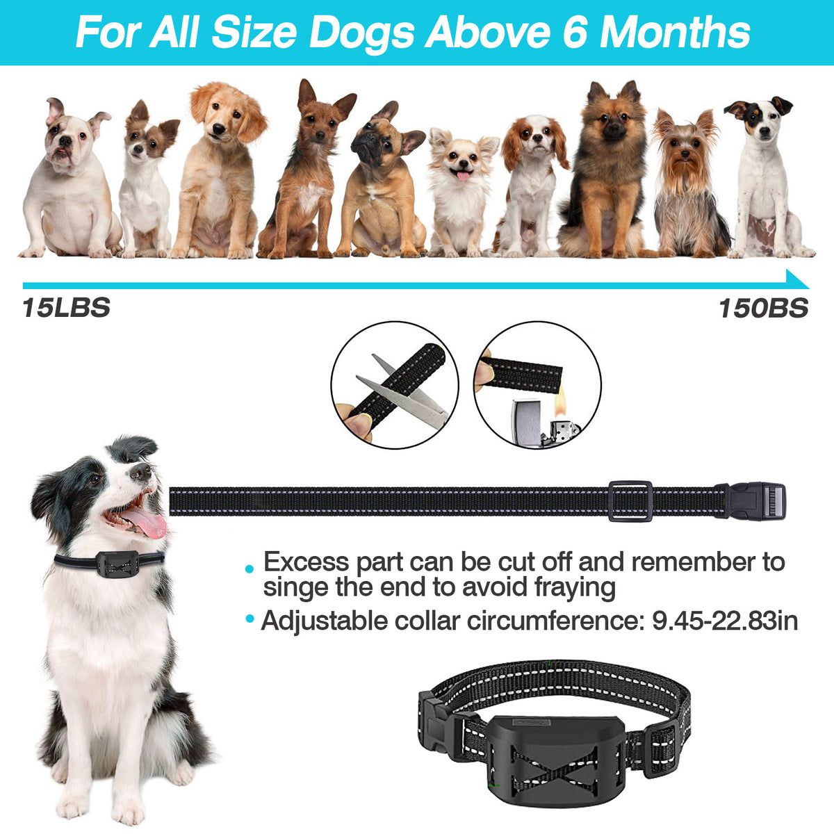 Wireless Electric Dog Fence and Training Collar System – view 13