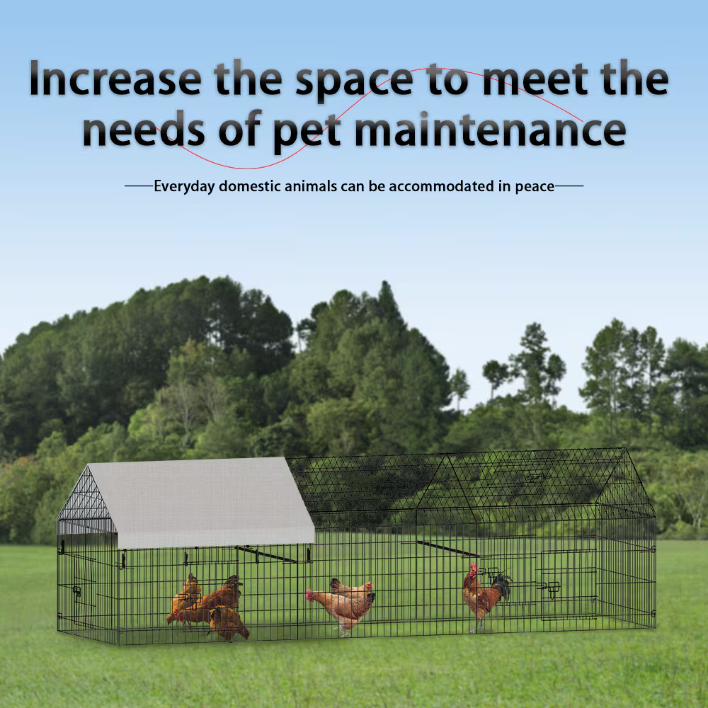 Metal Chicken Coop for Poultry Farming Outdoors – view 7