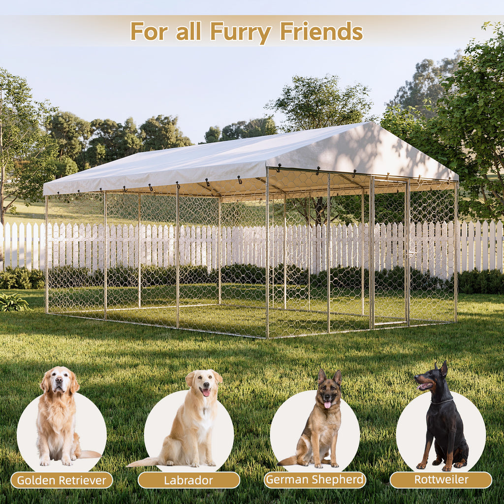 Large Outdoor Dog Kennel with Canopy for All-Weather Use – view 9