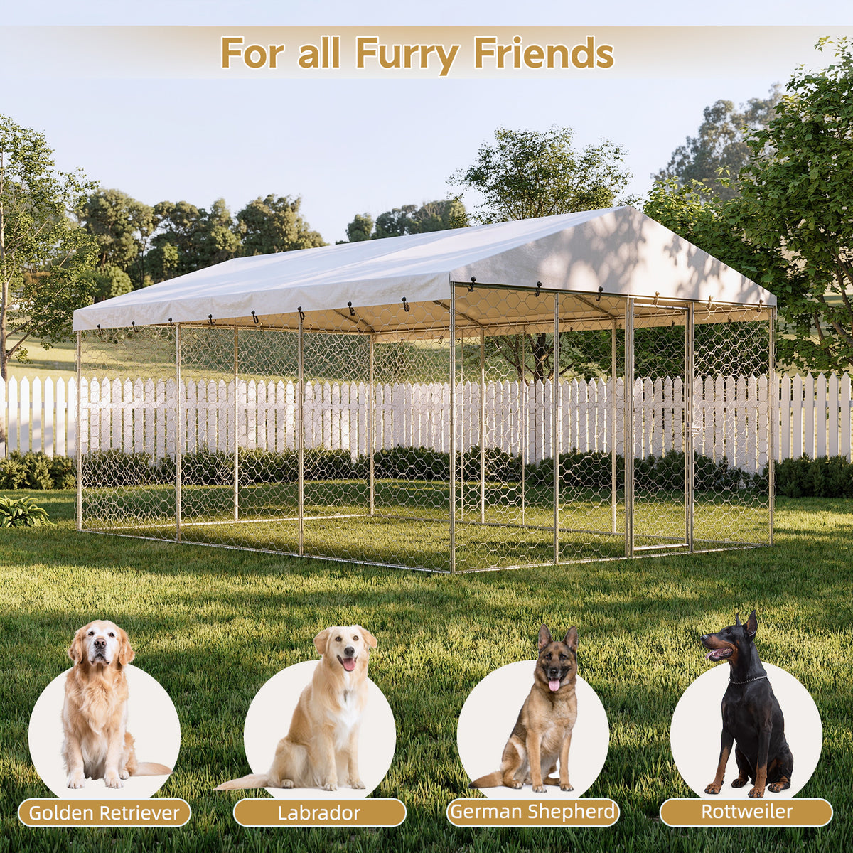 Large Outdoor Dog Kennel with Canopy for All-Weather Use – view 9