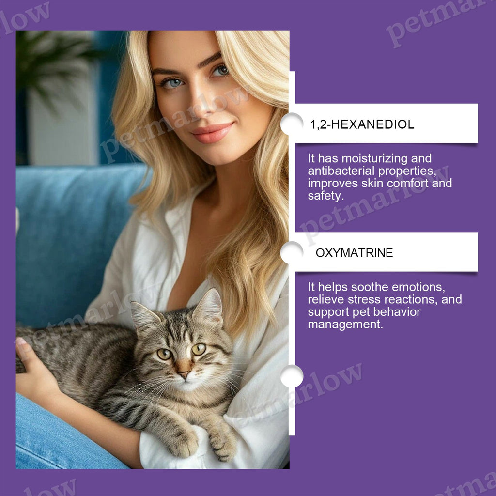 Calming Cat Spray for Stress Relief and Behavior Correction – view 2
