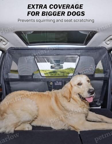 Car Barrier for SUV Escape-Proof – view 2