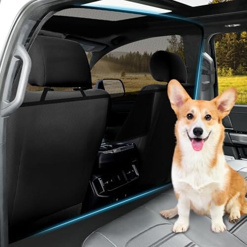 Car Divider Back Seat Barrier for Midsized Pickup