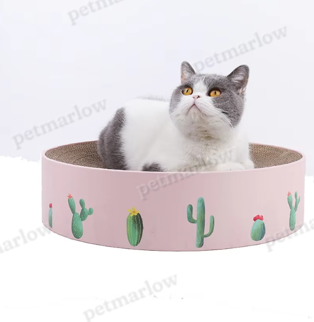 Cardboard Loop for Cats with Cactus Design - Modern Style Scratcher – view 6