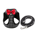 Cat Chain Traction Rope Set, Chest Harness, Cat Harness, Cat Collar, Dog Leash – A / XXS
