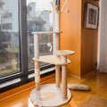 Cat Climbing Frame Large Integrated Shelf Cat Tree – Upgrade