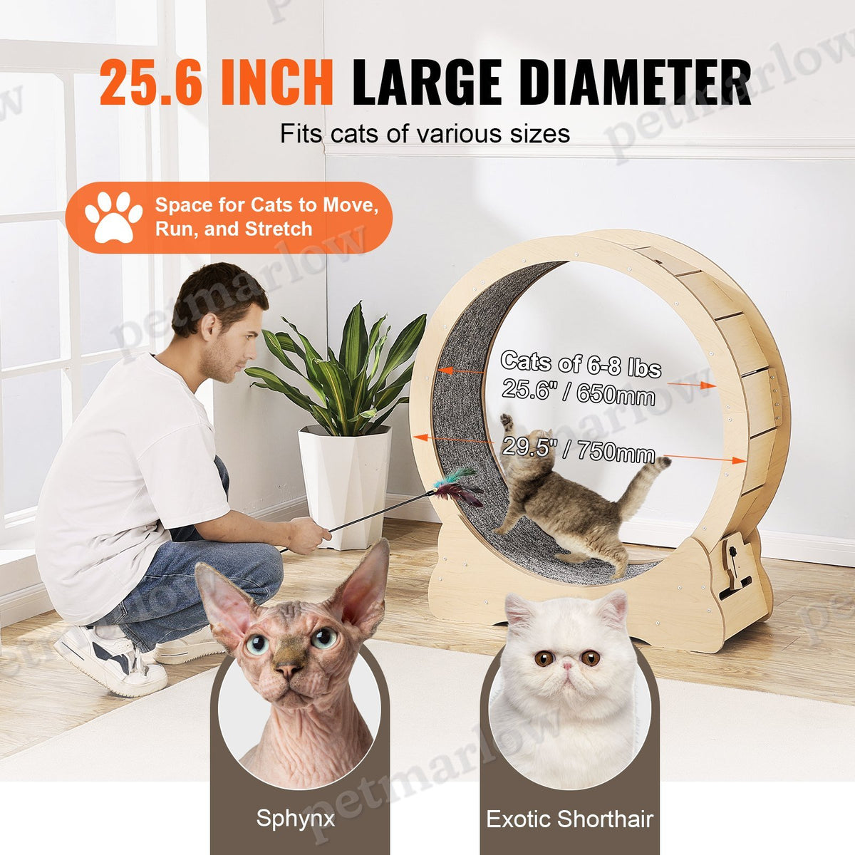 Cat Exercise Wheel for Indoor Cats - 29.5 Inch – view 4