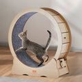 Large Cat Exercise Wheel for Indoor Use – Natural