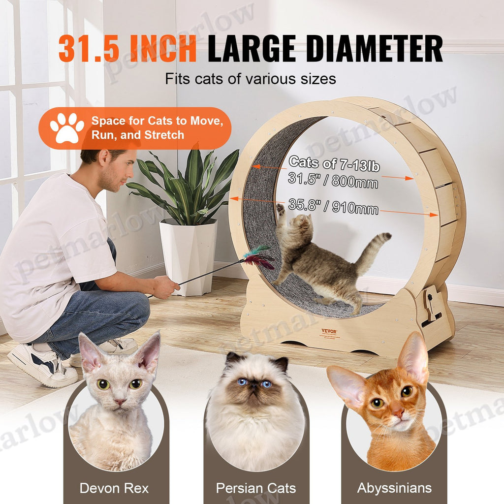 Large Cat Exercise Wheel for Indoor Use – view 6