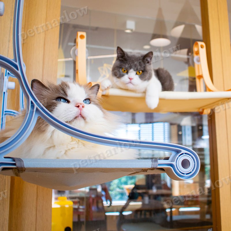 Cat Hammock Sunbathing Glass Strong Suction Cup Window Hanging Nest Window Sill Swing Pet Supplies – view 3